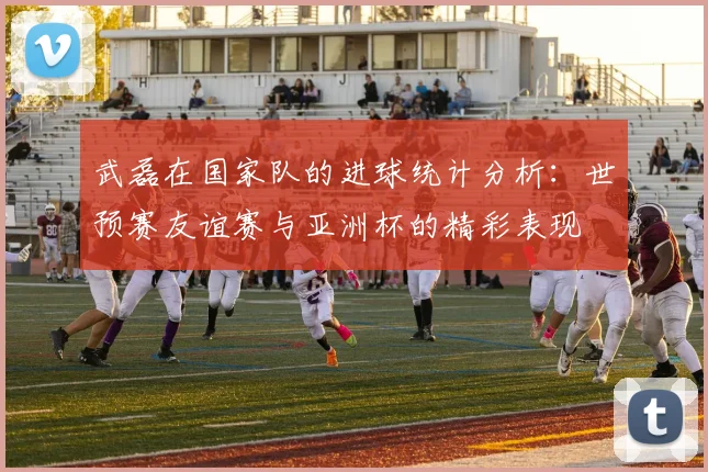 武磊在国家队的进球统计分析：世预赛友谊赛与亚洲杯的精彩表现